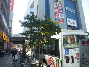 東京散策