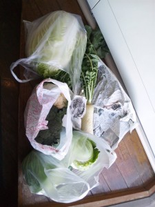 野菜いただきました♪?