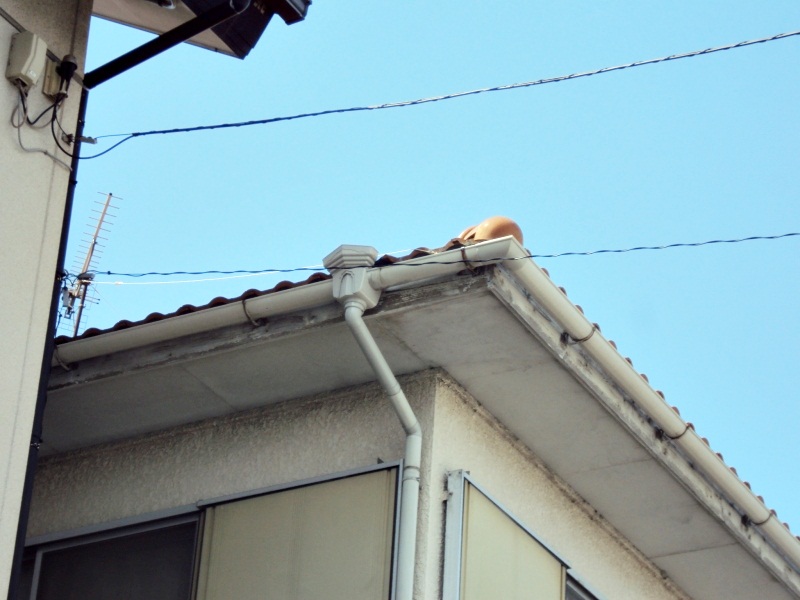 樋の上合の破損していた部分を取替えました。