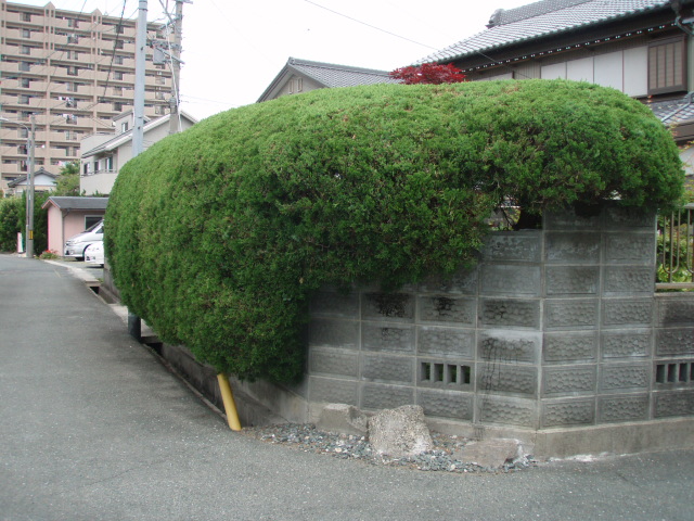 植栽・景石・ 生垣の撤去と境界塀を改修しました。