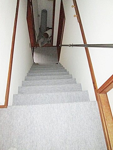 階段室のクロスとカーペットも綺麗に貼り替えを行いました。