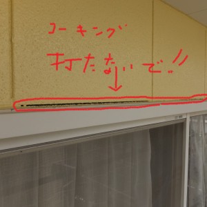 DSCF3421
