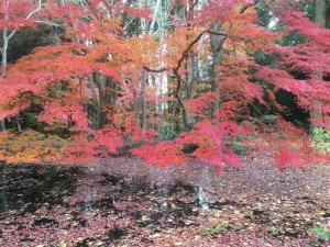 img_5177