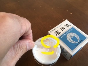 マンションでも白蟻がいるのか？？